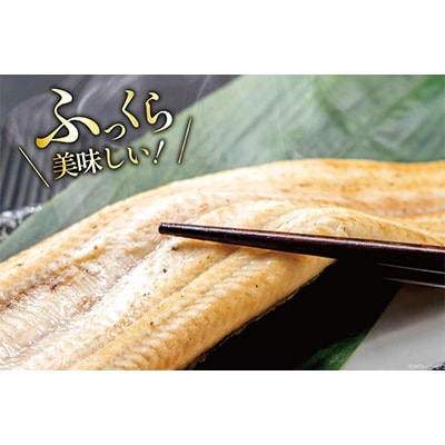 静岡県吉田町産うなぎ白焼2尾セット