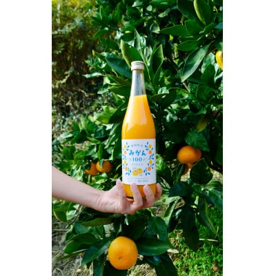 木村飲料 みかん100(ストレート)720ml×6本