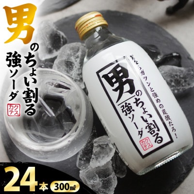 木村飲料 男のちょい割る強ソーダ 300ml×24本 強炭酸水