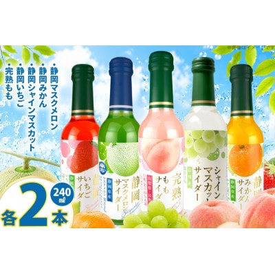 木村飲料 ご当地果実のサイダーセット 5種×各2本 計10本 炭酸飲料