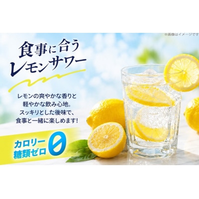 木村飲料 KIMURA レモンサワー カロリー・糖類ゼロ 300ml×24本