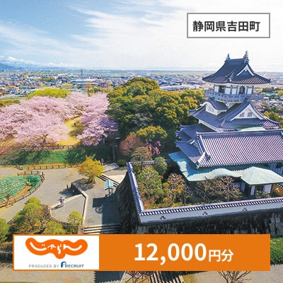 【じゃらんふるさと納税クーポン】 静岡県吉田町でつかえる12,000円 クーポン