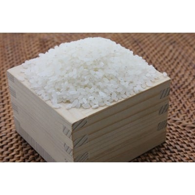 令和7年産　鹿児島県あきほなみ10kg (5kg×2袋)