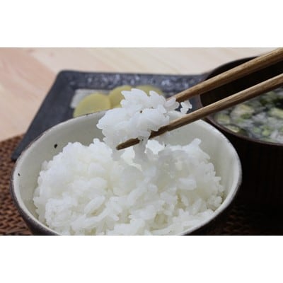 令和7年産　BG鹿児島県産あきほなみ5kg