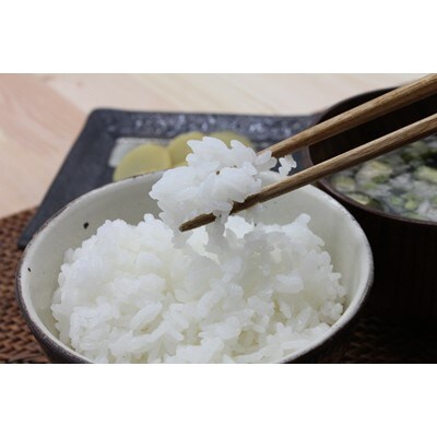 令和7年産　鹿児島県産BGあきほなみ10kg(5kg×2袋)