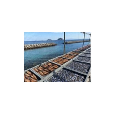 甑島の天日干しセット