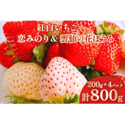 雲仙いちご紅白セット「恋みのり」「雲仙の花ぼうろ」200g×4パック【12月下旬頃より順次発送】