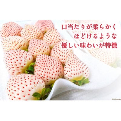 白いちご 「雲仙の花ぼうろ」 250g×2パック【12月下旬頃より順次発送】