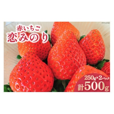 厳選 赤いちご 「恋みのり」 250g×2パック