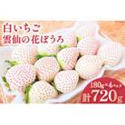 白いちご 「雲仙の花ぼうろ」 180g×4パック【12月下旬頃より順次発送】