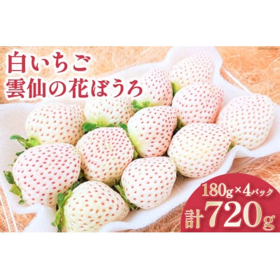 白いちご 「雲仙の花ぼうろ」 180g×4パック【12月下旬頃より順次発送】
