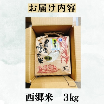 長崎雲仙市産 西郷米 3kg
