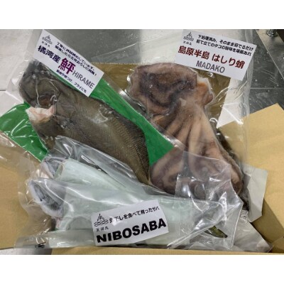 おうちで漁師体験Bセット