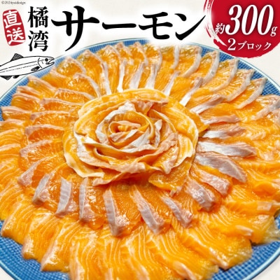 サーモン刺身2ブロック(約300g) 【株式会社天洋丸 長崎県 雲仙市】