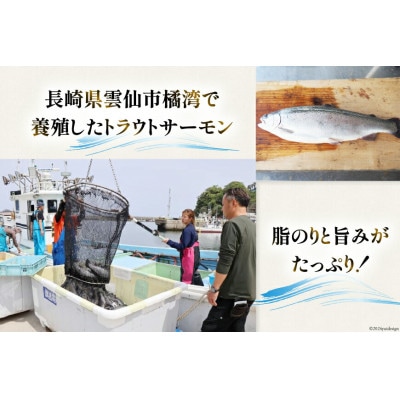 サーモン刺身2ブロック(約300g) 【株式会社天洋丸 長崎県 雲仙市】
