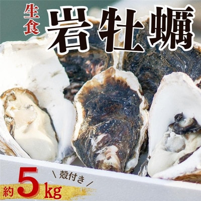 岩牡蠣 生食 約5kg | ふるさと納税のお礼品