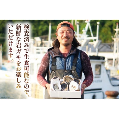 岩牡蠣 生食 約5kg