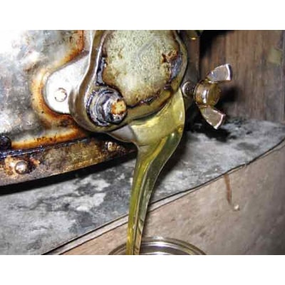村木養蜂場　国産はちみつ1.2kg(ハゼ蜜)
