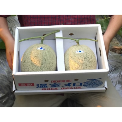 国見園芸高級メロン 厳選夏のデラックスセット2玉1箱
