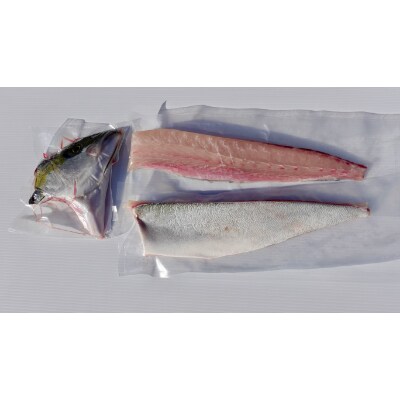 橘湾産養殖ヒラス ヒラマサ 片身約1 75kg お礼品詳細 ふるさと納税なら さとふる