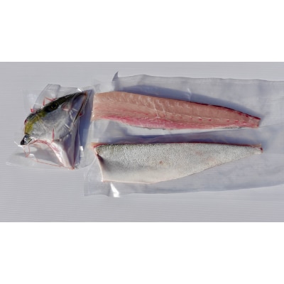 【長崎県産】橘湾養殖ヒラス(ヒラマサ) 片身 約1.75kg