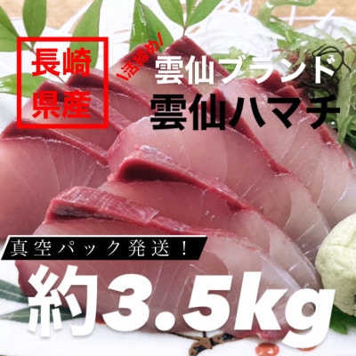 【長崎県産】橘湾養殖ハマチ 1本 約3.5kg