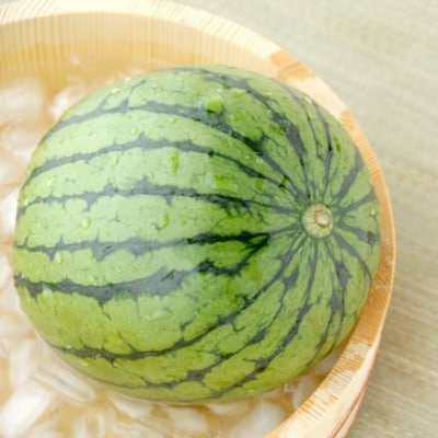長崎県産 大玉スイカ 1玉 7kg以上(雲仙市)