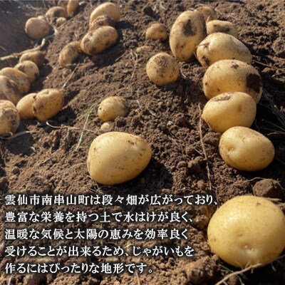 じゃがいも ながさき黄金 10kg ( 秋じゃがいも ) 南串ながさき黄金生産組合