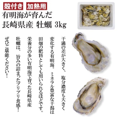 雲仙産瑞穂牡蠣中サイズ3kg(加熱用、殻付き)