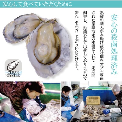 雲仙産瑞穂牡蠣中サイズ3kg(加熱用、殻付き)