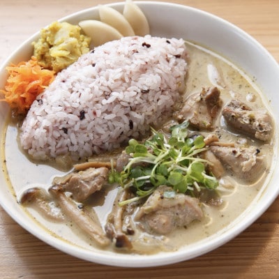 冷凍スパイスカレー 2種6食セット