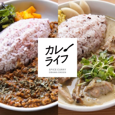 【毎月定期便】冷凍スパイスカレー 2種6食セット全3回