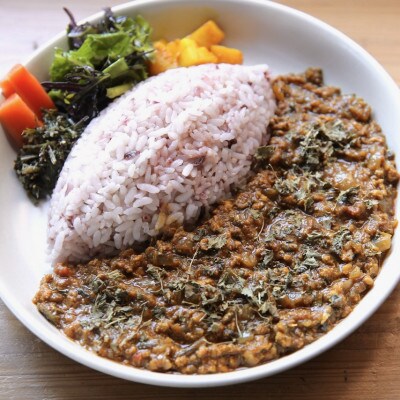 【毎月定期便】冷凍スパイスカレー 2種10食セット全3回