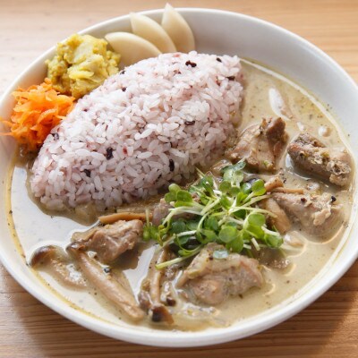 【毎月定期便】冷凍スパイスカレー 2種10食セット全3回