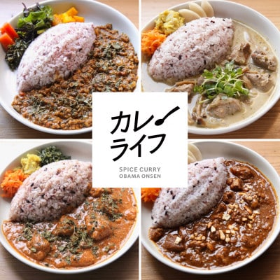 【毎月定期便】冷凍スパイスカレー 4種6食セット全3回