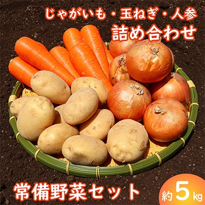 常備野菜セット　じゃがいも・玉ねぎ・にんじん詰め合わせ　約5kg