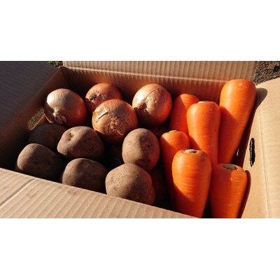常備野菜セット じゃがいも・玉ねぎ・にんじん詰め合わせ 約5kg