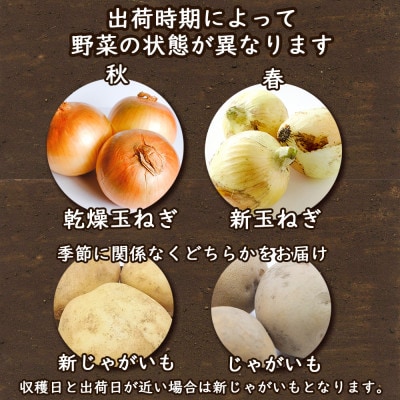 常備野菜セット　じゃがいも・玉ねぎ・にんじん詰め合わせ　約5kg
