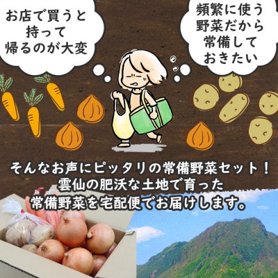 常備野菜セット　じゃがいも・玉ねぎ・にんじん詰め合わせ　約5kg