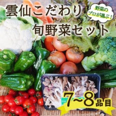 雲仙こだわり野菜セット 旬の野菜を7～8品目 詰め合わせ 野菜のプロおまかせBOX 九州 | ふるさと納税のお礼品