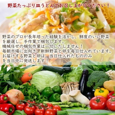 長崎皿うどん8人前  雲仙野菜10品目  太陽卵6個セット アレンジレシピ付き