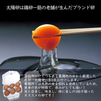 長崎皿うどん8人前  雲仙野菜10品目  太陽卵6個セット アレンジレシピ付き