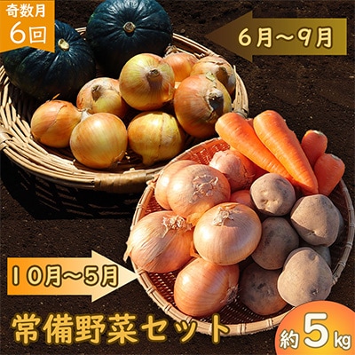 【発送月固定定期便】常備野菜セット じゃがいも・玉ねぎ・にんじん 約5kg 【奇数月コース】全6回
