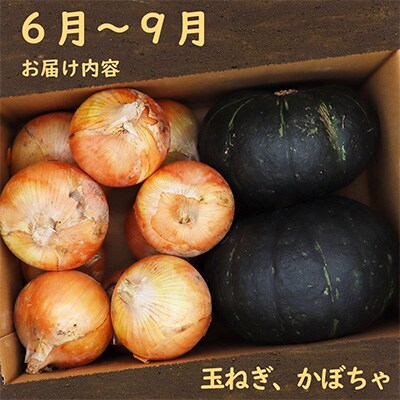 【発送月固定定期便】常備野菜セット じゃがいも・玉ねぎ・にんじん 約5kg 【奇数月コース】全6回