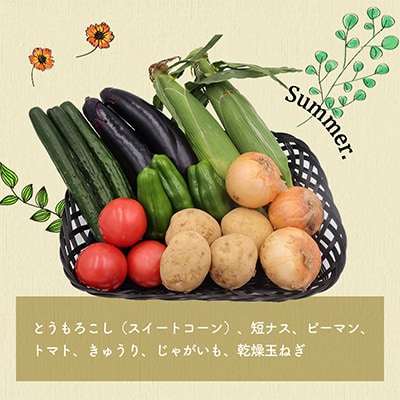 【毎月定期便】雲仙こだわり野菜セット 旬の定番野菜を7～8品目 詰め合わせ 全12回
