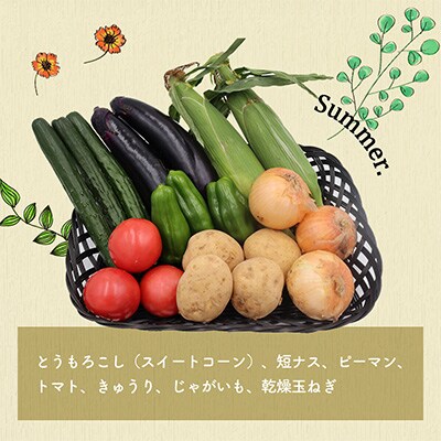 【毎月定期便】雲仙こだわり野菜セット 旬の定番野菜を7～8品目 詰め合わせ 全6回