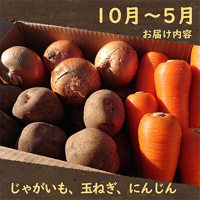 【発送月固定定期便】常備野菜セット じゃがいも・玉ねぎ・にんじん 約5kg 【偶数月コース】全6回