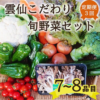 【毎月定期便】雲仙こだわり野菜セット 旬の定番野菜を7～8品目 詰め合わせ 全3回