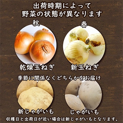 【発送月固定定期便】常備野菜セット じゃがいも・玉ねぎ・にんじん 約5kg 全12回
