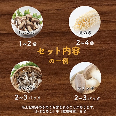 【発送月固定定期便】雲仙きのこセット 4品目 詰め合わせ 全12回